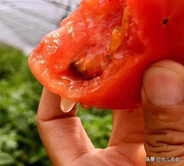 番茄究竟生吃有营养，还是炒着吃有营养？原来我们一直都误解了